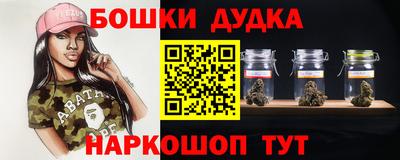 индика Шахты