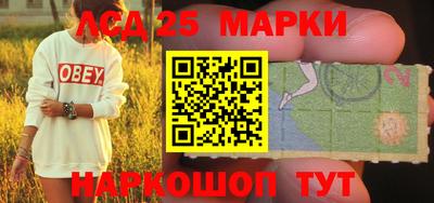 индика Шахты