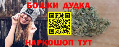 индика Шахты