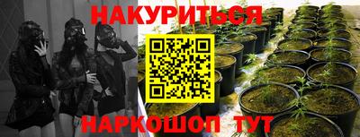 прущий лед Шебекино