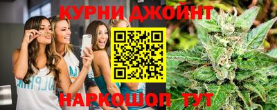 индика Шахты