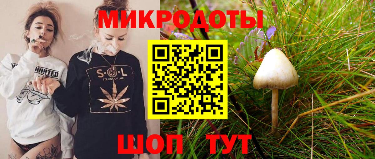 Псилоцибиновые грибы Psilocybe  Галлюциногенные грибы прущие грибы  Вход с VPN  Зерноград 