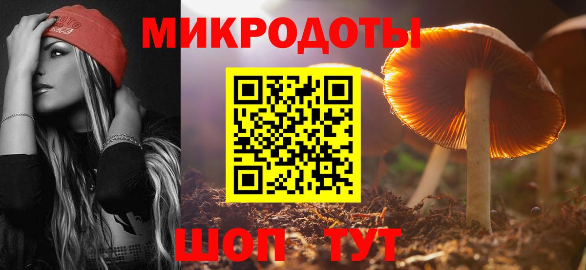 Галлюциногенные грибы Cubensis Зерноград